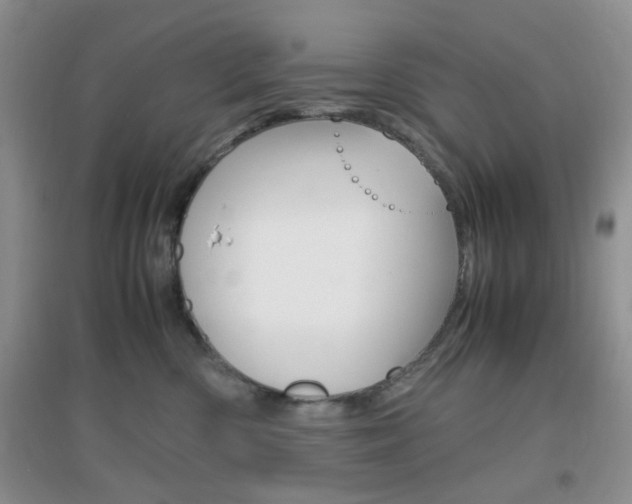 X0000096940426200802080903