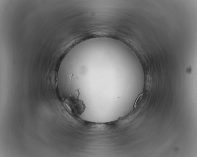 X0000096940428200802080903