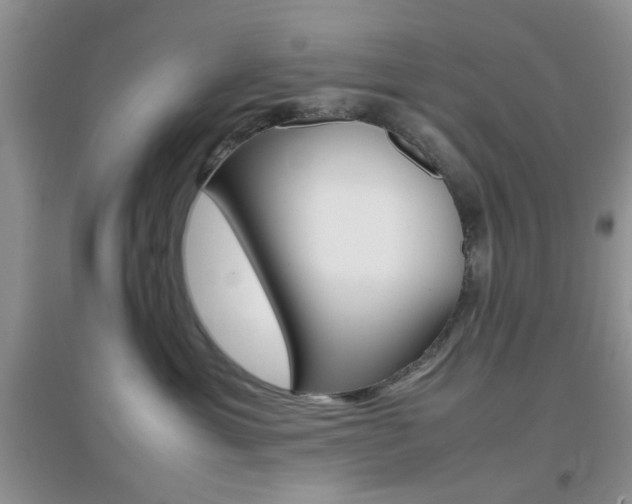 X0000096940429200802080903