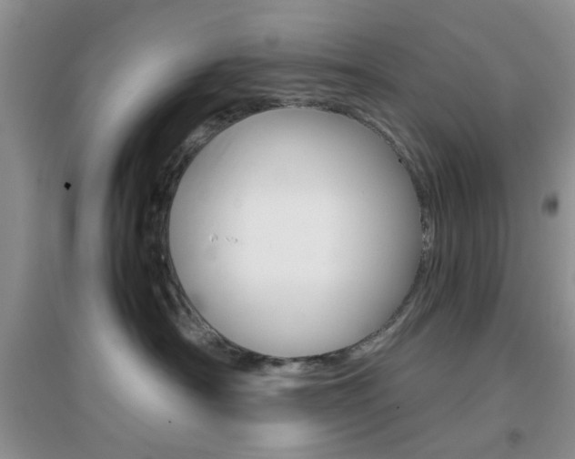 X0000096940430200802080903