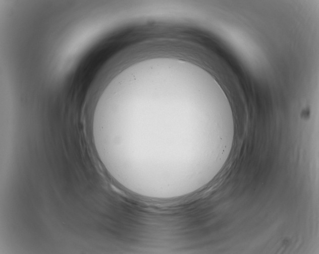 X0000096940431200802080903