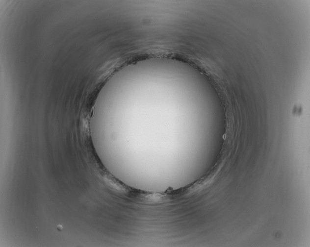 X0000096940432200802080903