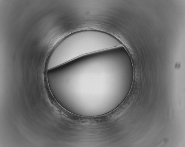 X0000096940434200802080902