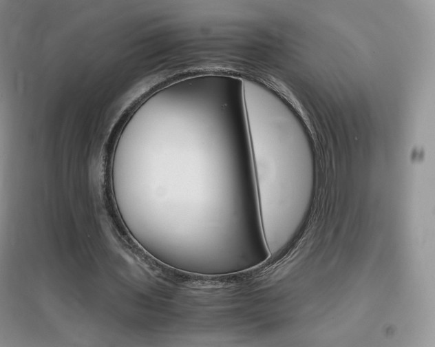 X0000096940435200802080902