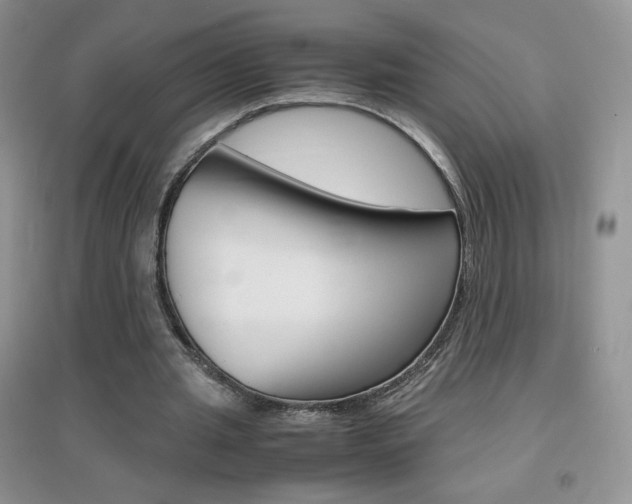 X0000096940437200802080902