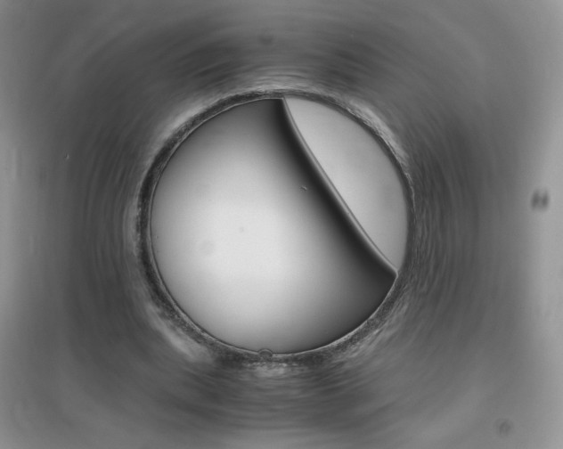 X0000096940439200802080902