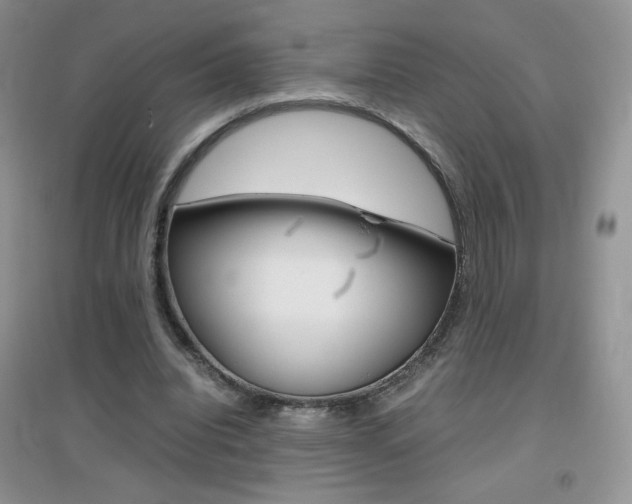 X0000096940440200802080902