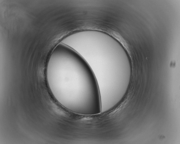 X0000096940441200802080902