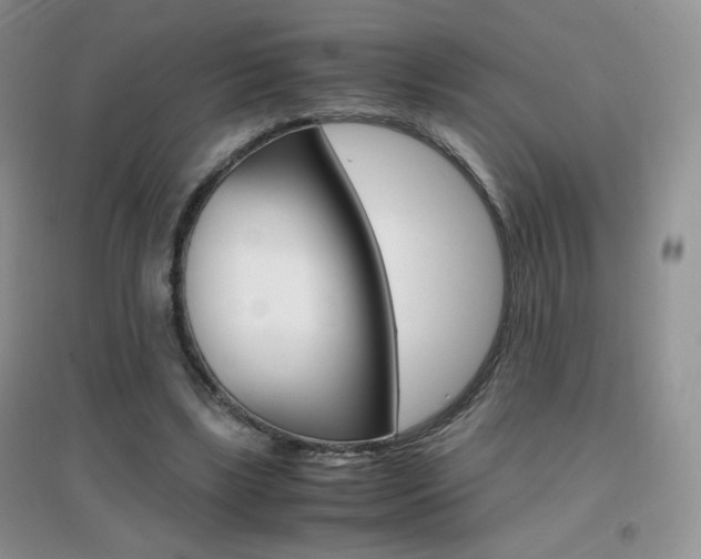 X0000096940443200802080902