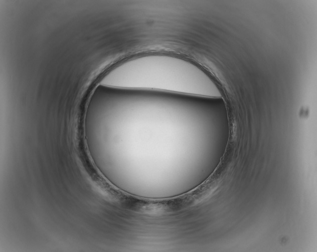 X0000096940444200802080902