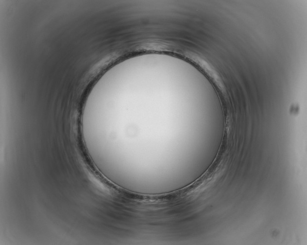 X0000096940445200802080902