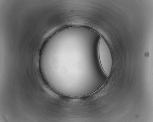 X0000096940446200802080902