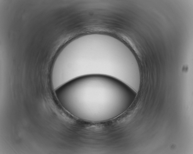 X0000096940447200802080902