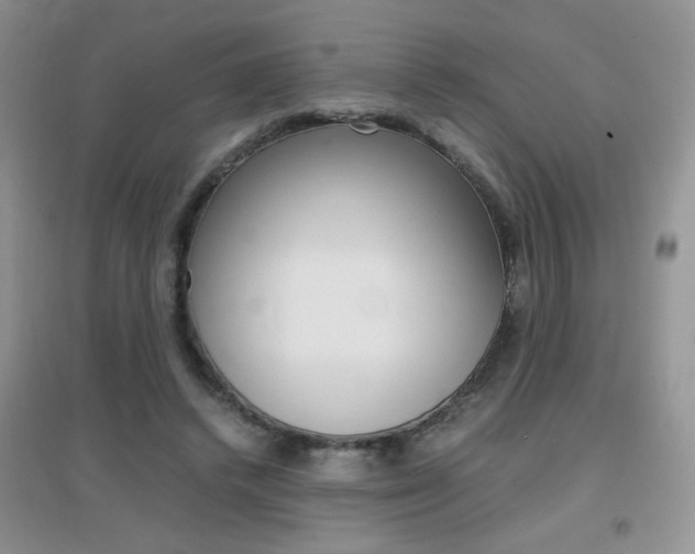 X0000096940448200802080902