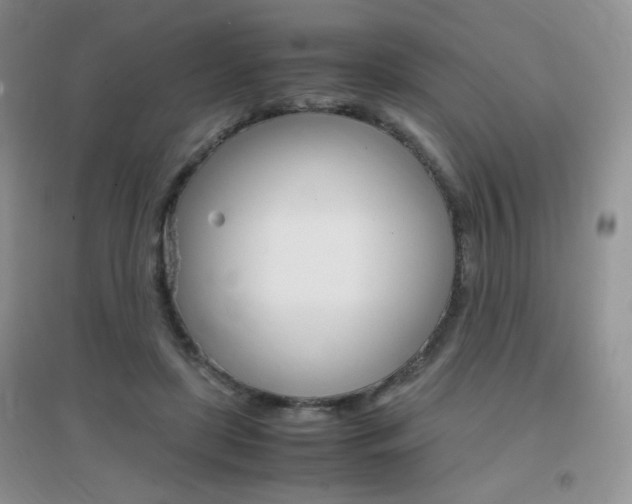 X0000096940451200802080902