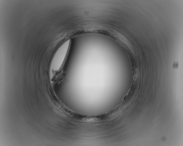 X0000096940452200802080902