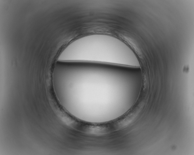 X0000096940453200802080902