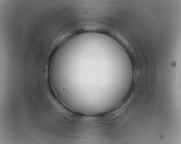 X0000096940454200802080902