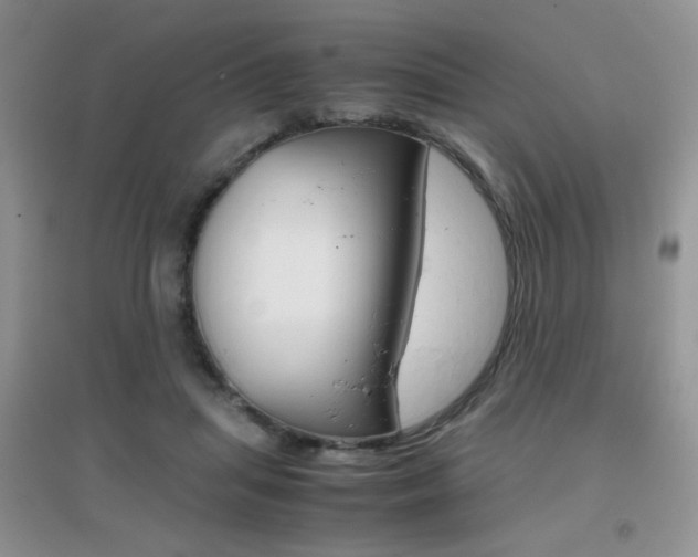 X0000096940455200802080902