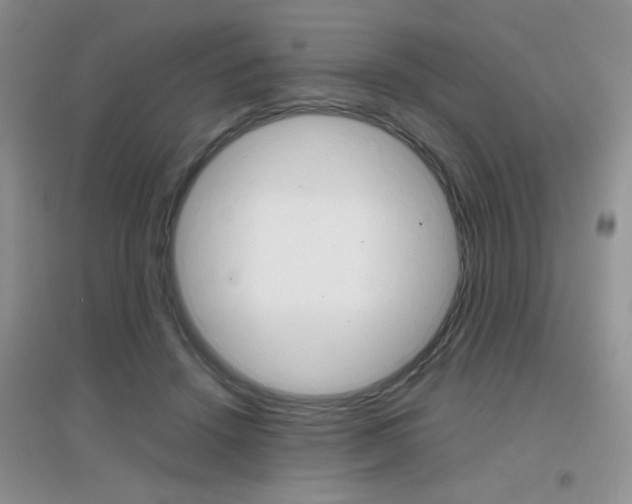 X0000096940456200802080902