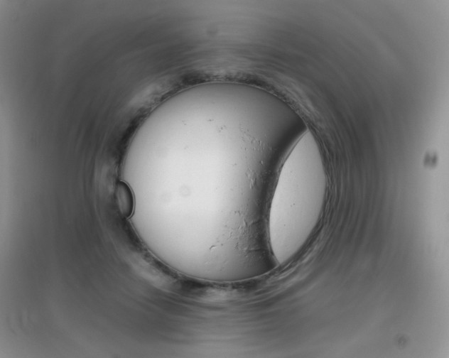 X0000096940458200802080902