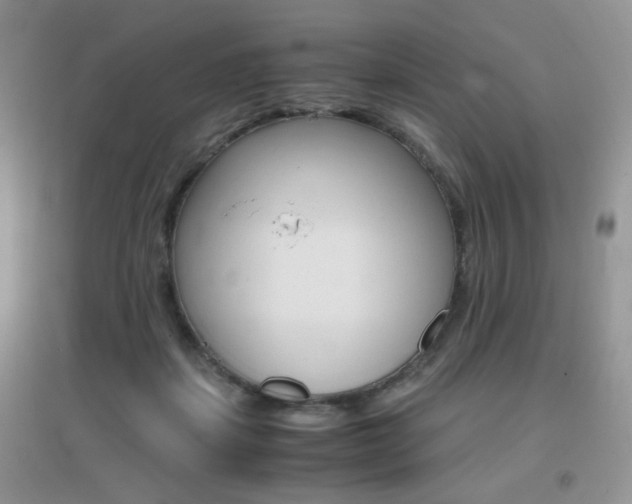 X0000096940459200802080902
