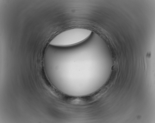 X0000096940460200802080902