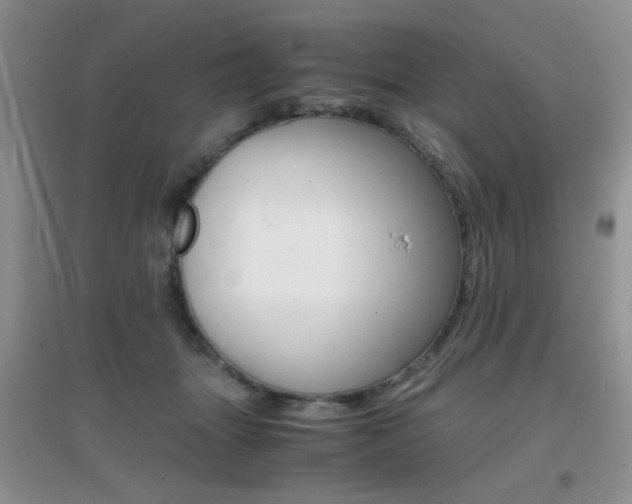 X0000096940463200802080902