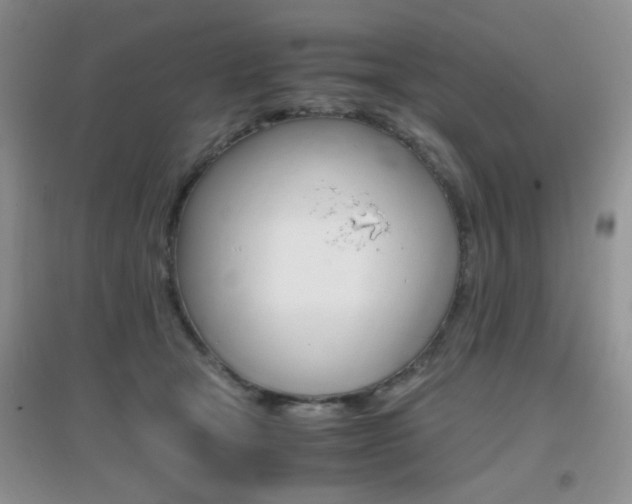 X0000096940465200802080902