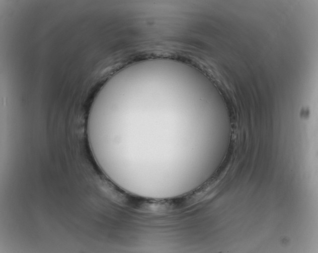 X0000096940466200802080902