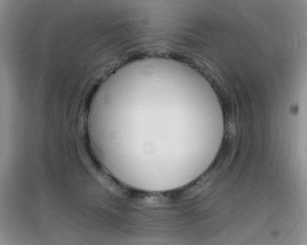 X0000096940468200802080902