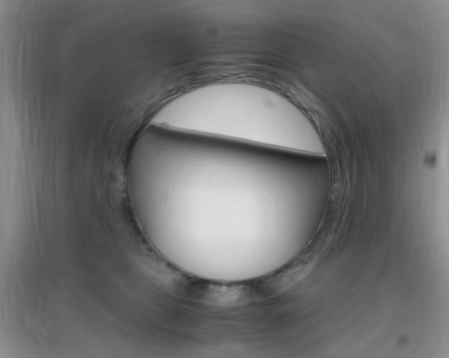 X0000096940469200802080902