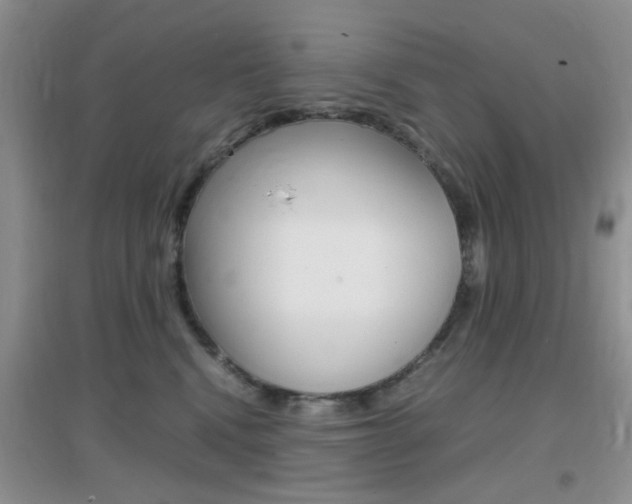 X0000096940472200802080902