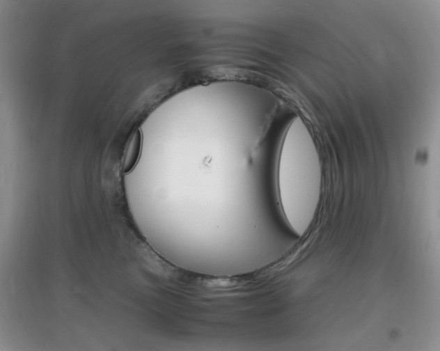 X0000096940473200802080902