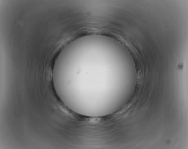 X0000096940474200802080902