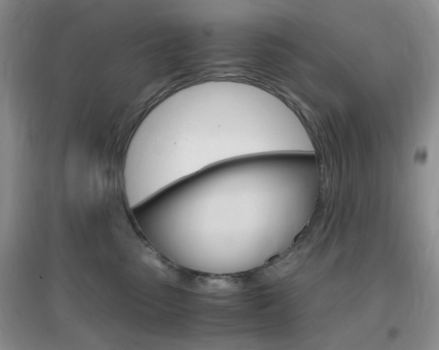 X0000096940475200802080902