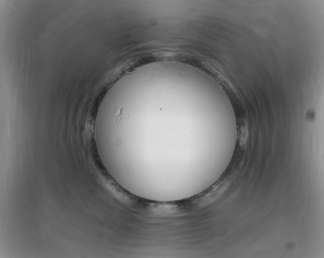X0000096940476200802080902