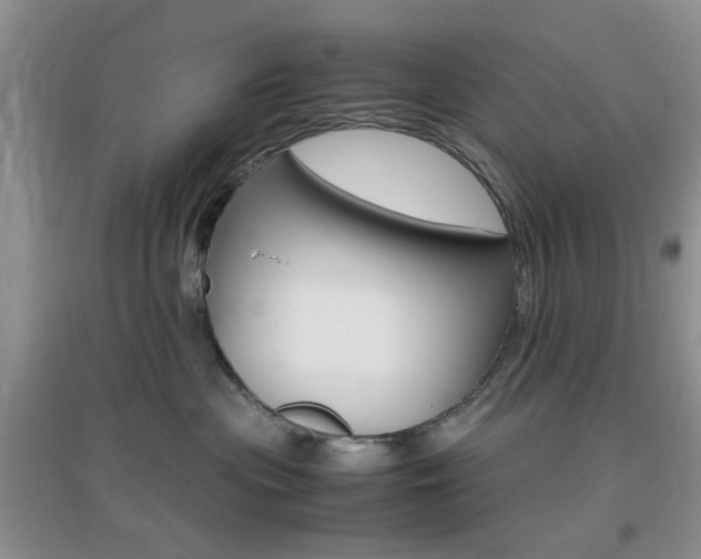 X0000096940477200802080902