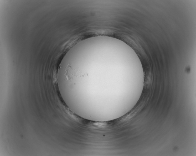 X0000096940478200802080902