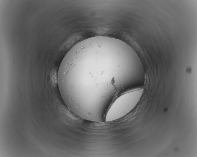 X0000096940479200802080902