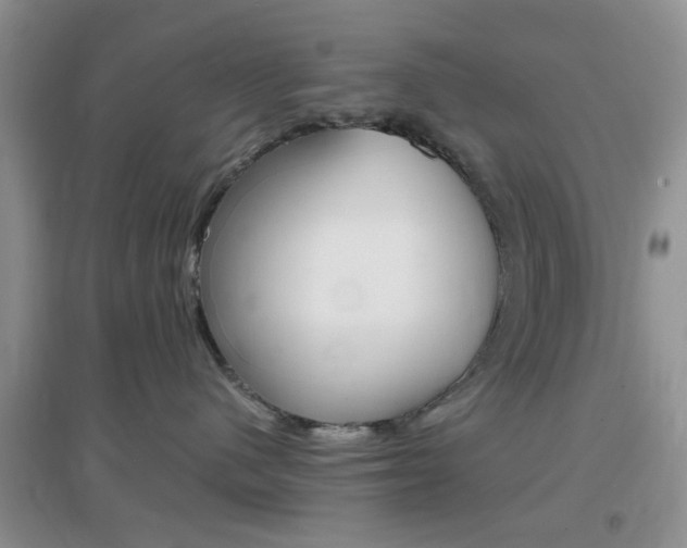 X0000096940480200802080903