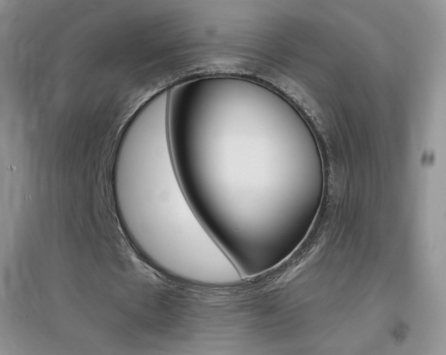 X0000096940481200802080902
