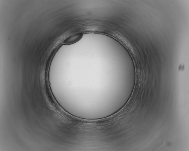 X0000096940482200802080902