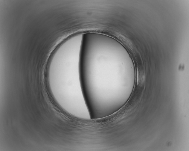 X0000096940483200802080902