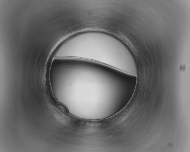 X0000096940484200802080902