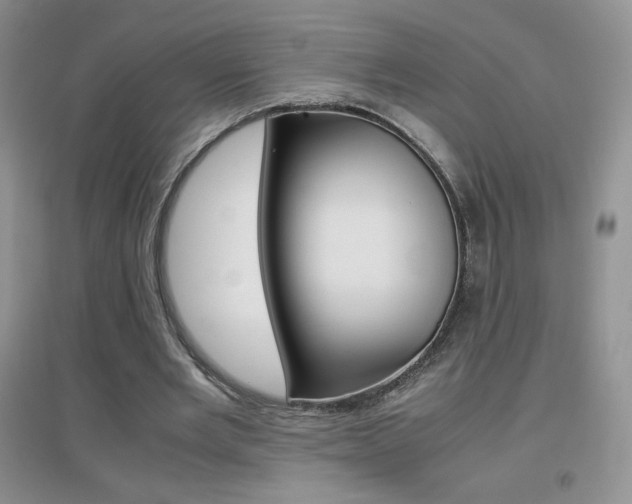 X0000096940485200802080902