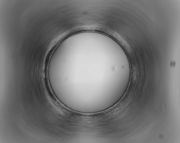 X0000096940486200802080902