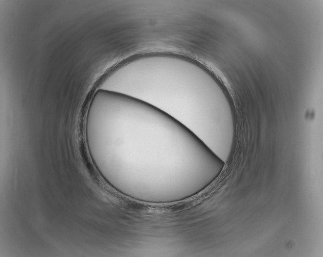 X0000096940487200802080902