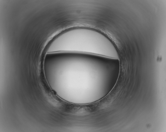 X0000096940488200802080902