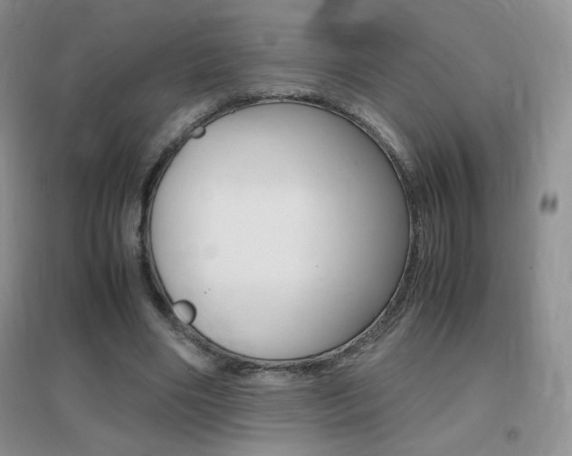 X0000096940490200802080902